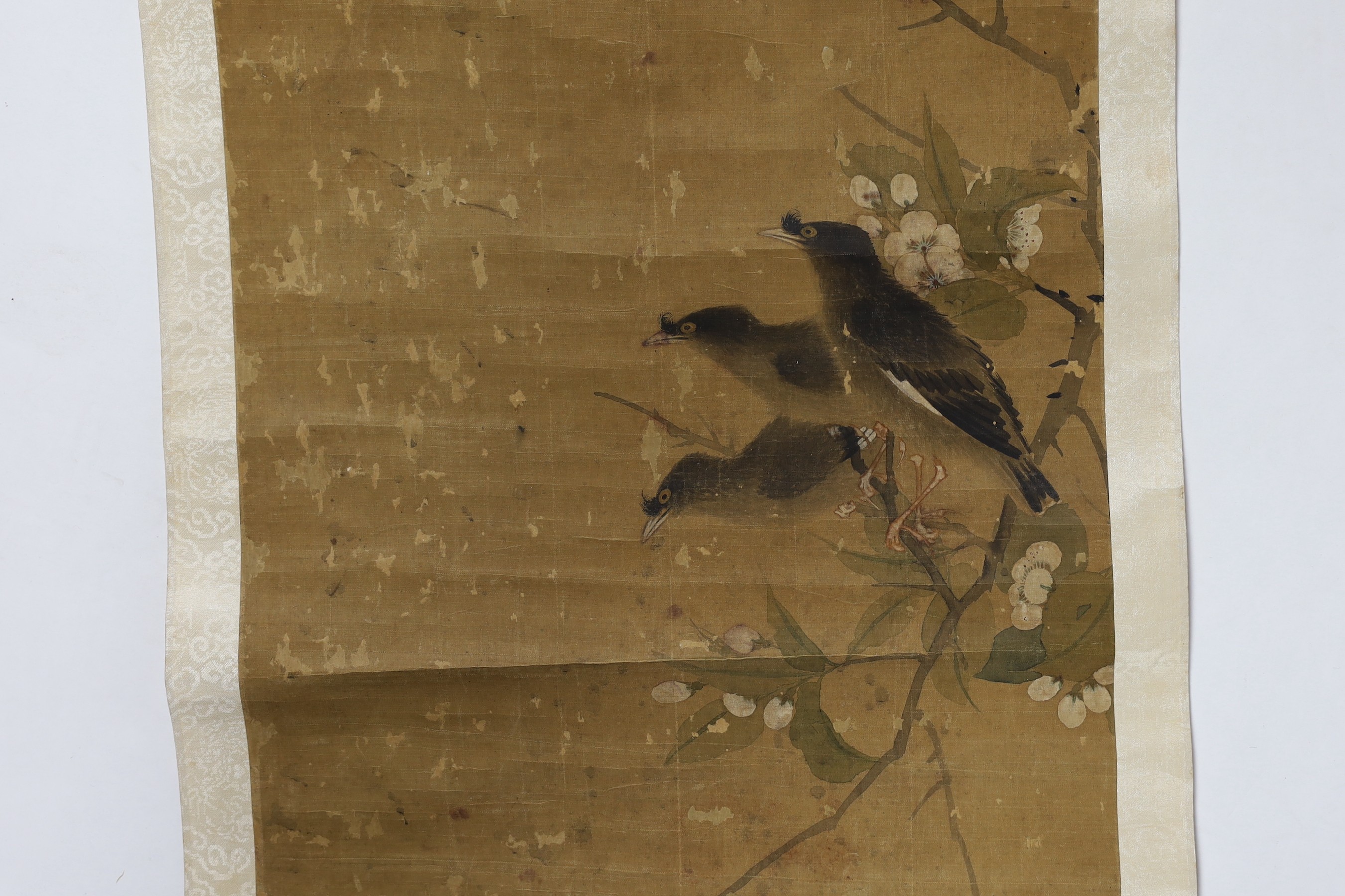 A Chinese scroll painting on silk of blackbirds perched on a blossoming branch, 19th century, image 79cm x 35cm